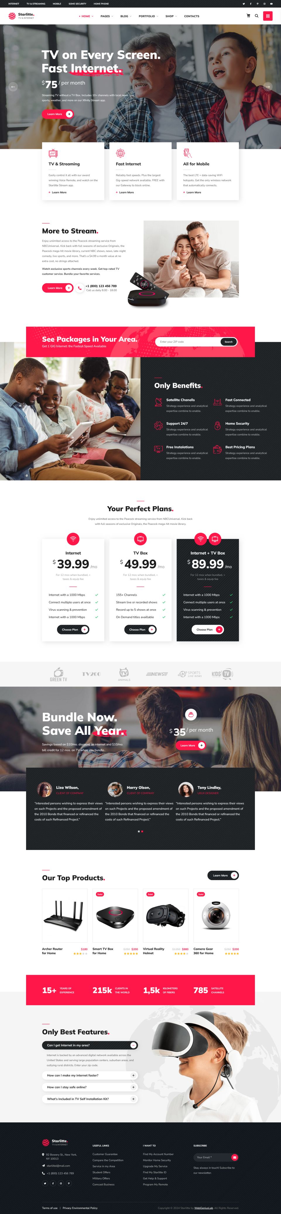 WordPress template ThemeForest Starlitte