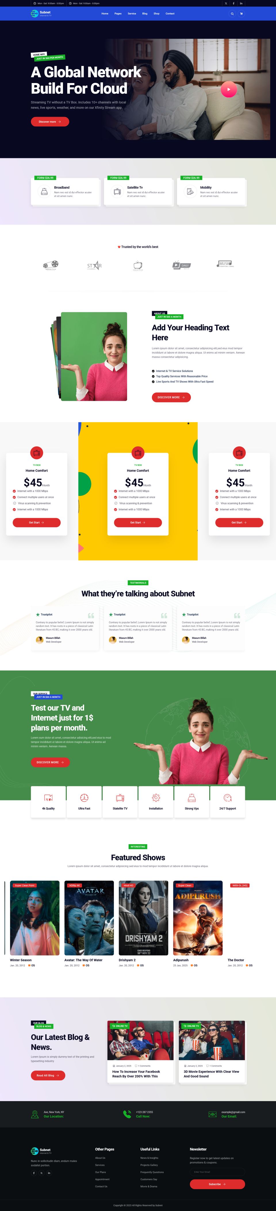 WordPress template ThemeForest Subnet