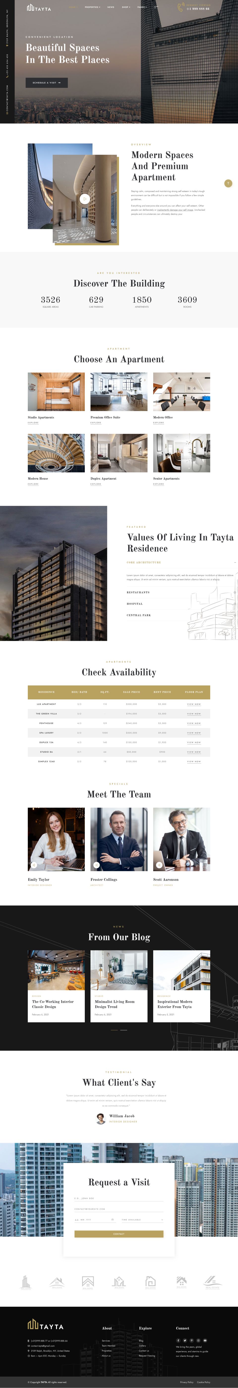 WordPress template ThemeForest Tayta