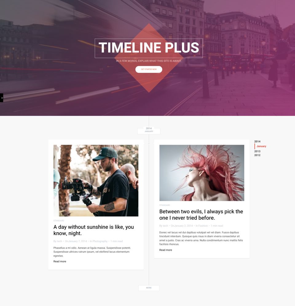 WordPress template ThemeForest Timeline Plus