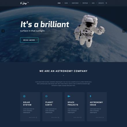 ThemeForest TJoy