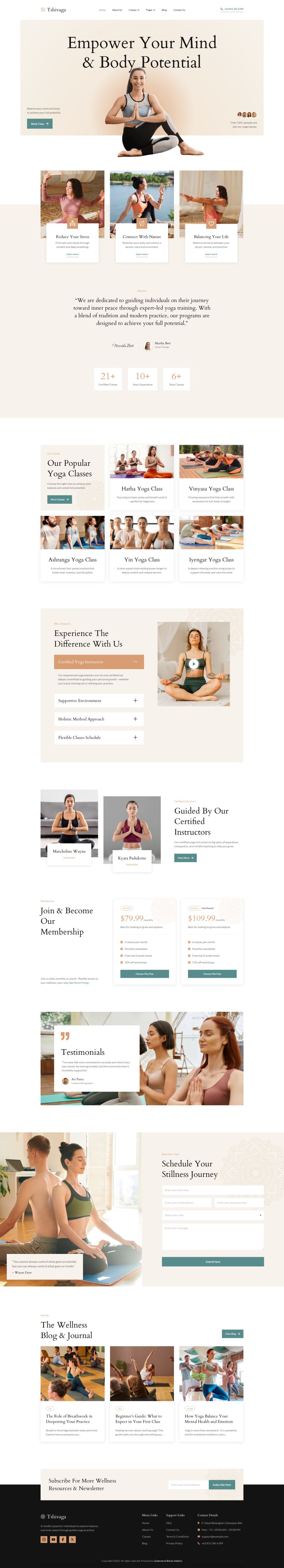 WordPress template ThemeForest Tshivaga