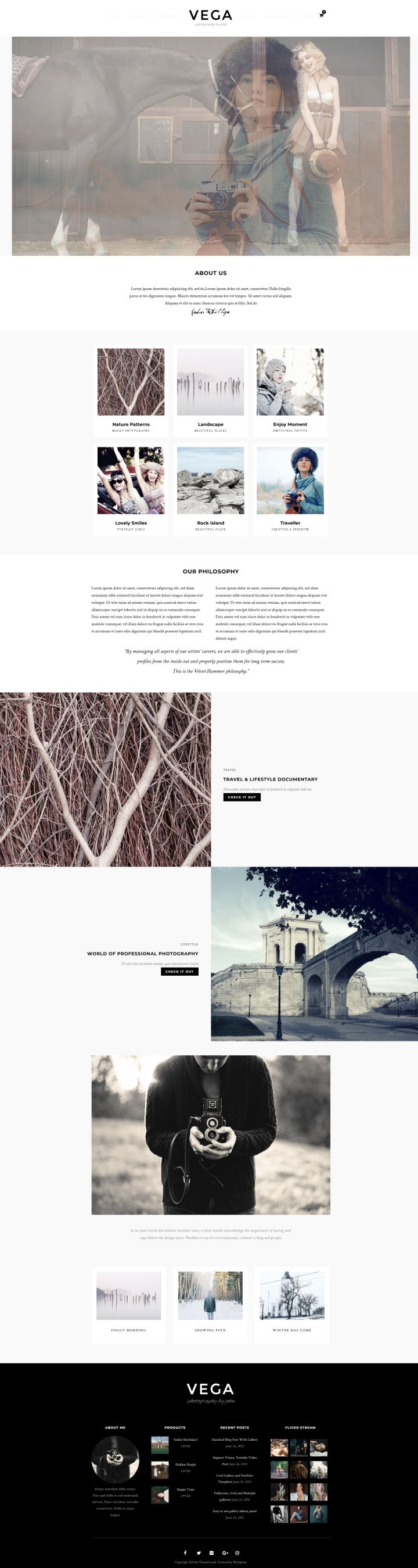 WordPress template ThemeForest Vega