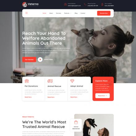 ThemeForest Veterna