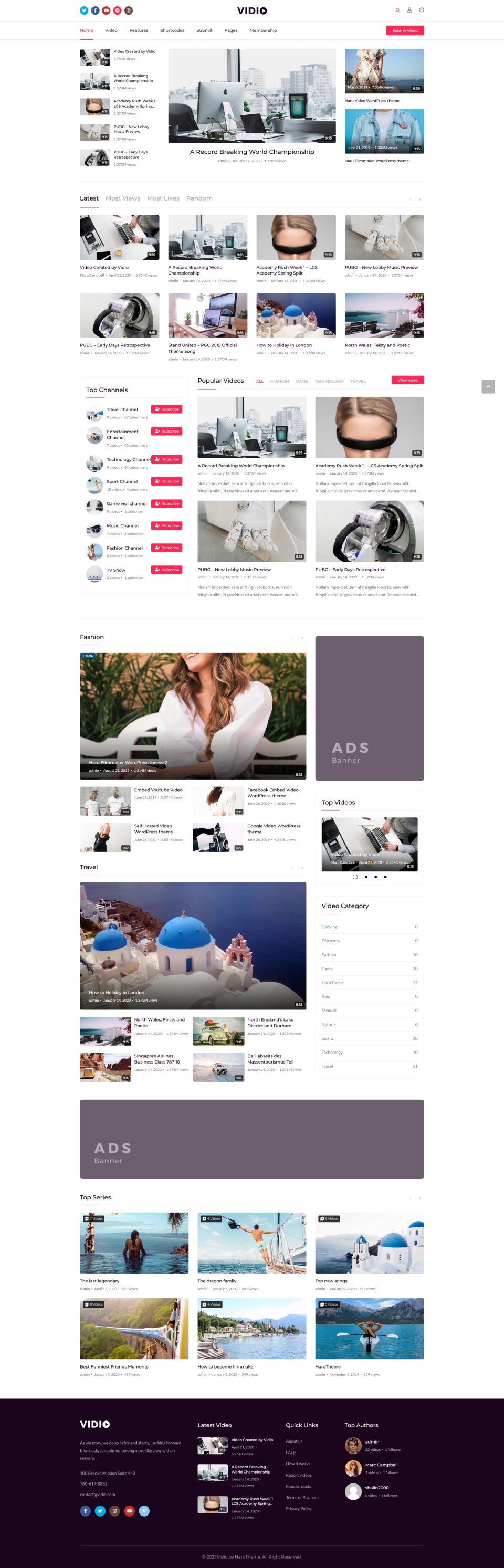 WordPress template ThemeForest Vidio