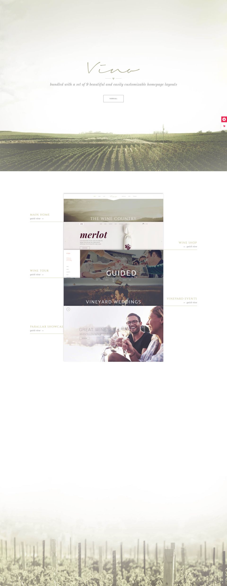 WordPress template ThemeForest Vino