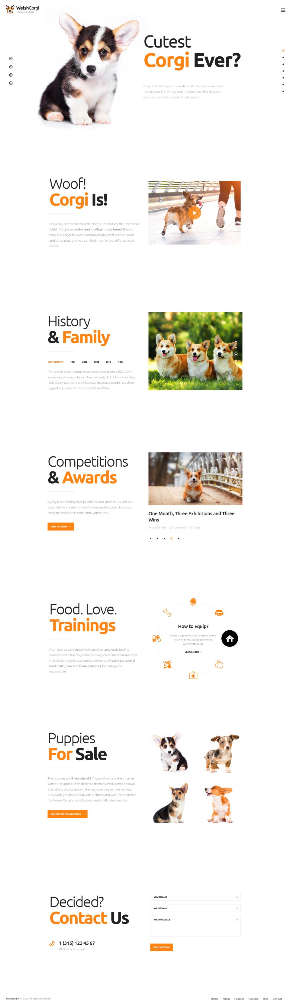 Template ThemeForest Welsh Corgi WordPress template ThemeForest Welsh Corgi