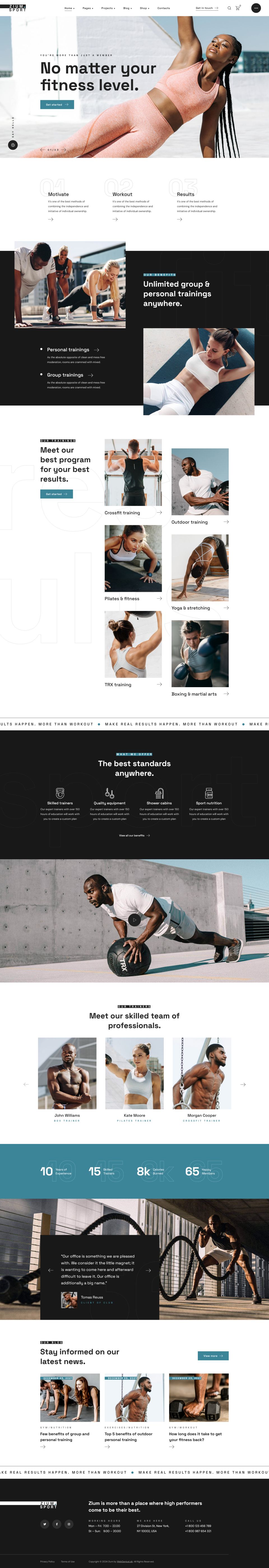 WordPress template ThemeForest Zium