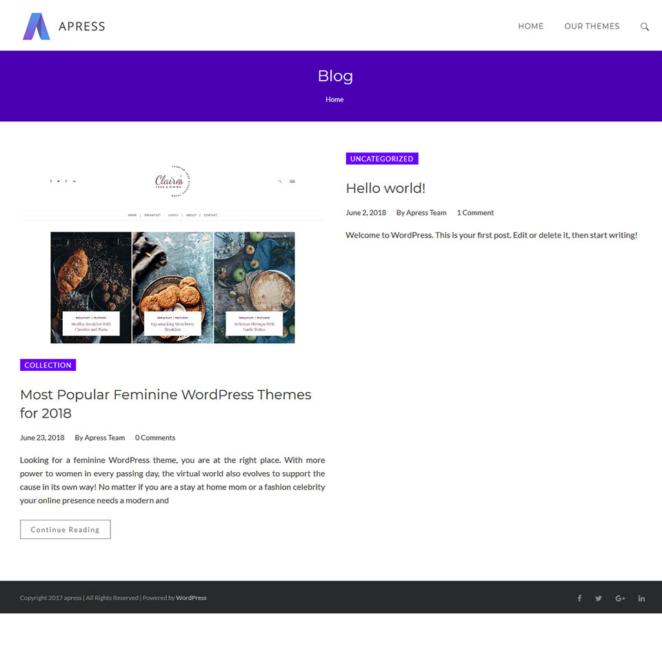 WordPress template ThemeForest Apress
