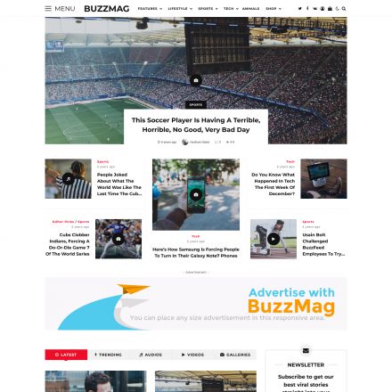 ThemeForest BuzzMag