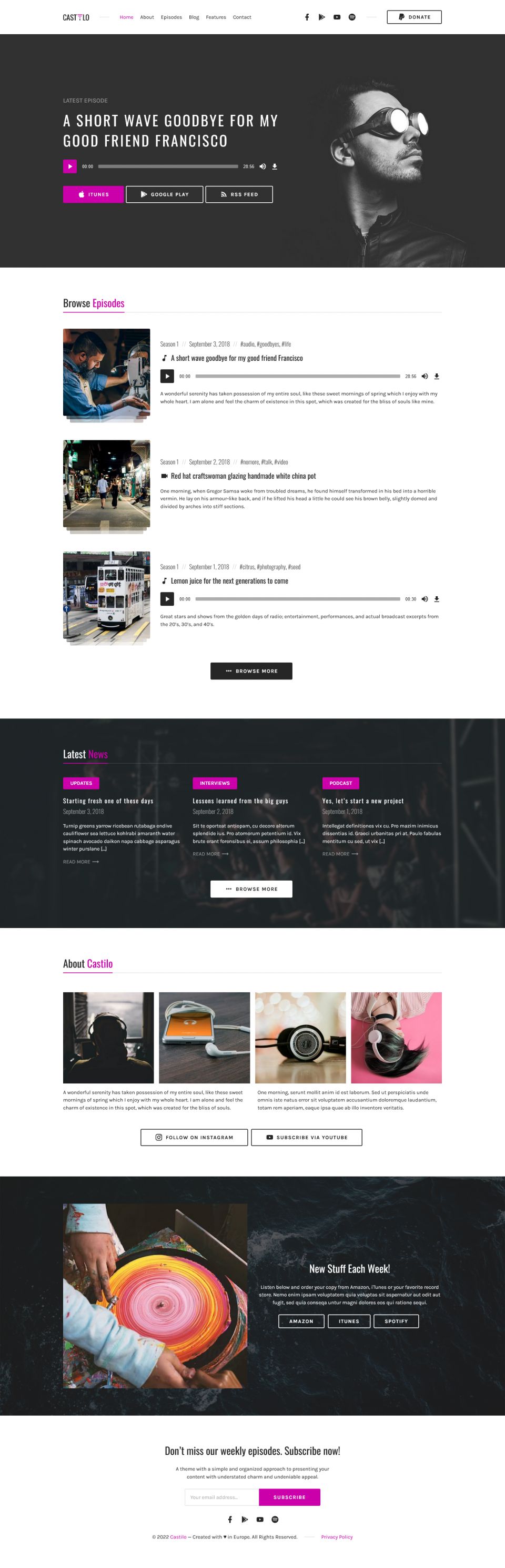 WordPress template ThemeForest Castilo
