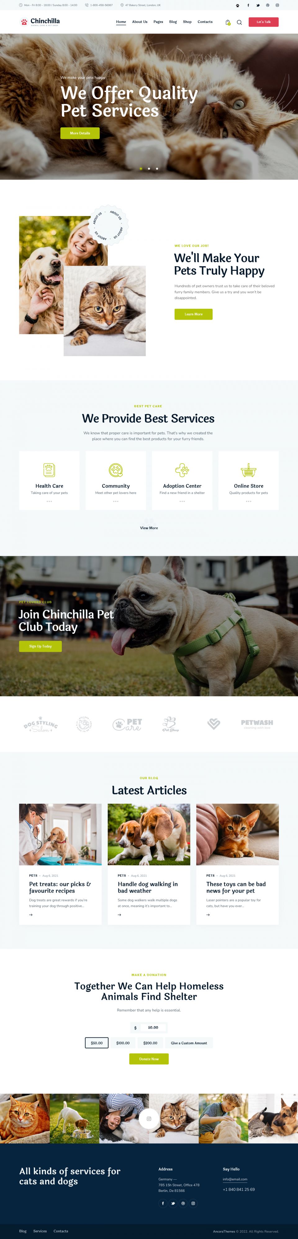 WordPress template ThemeForest Chinchilla