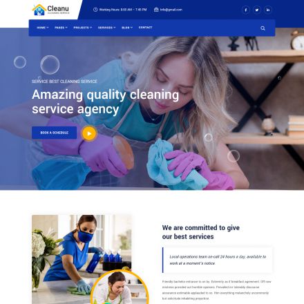 ThemeForest Cleanu