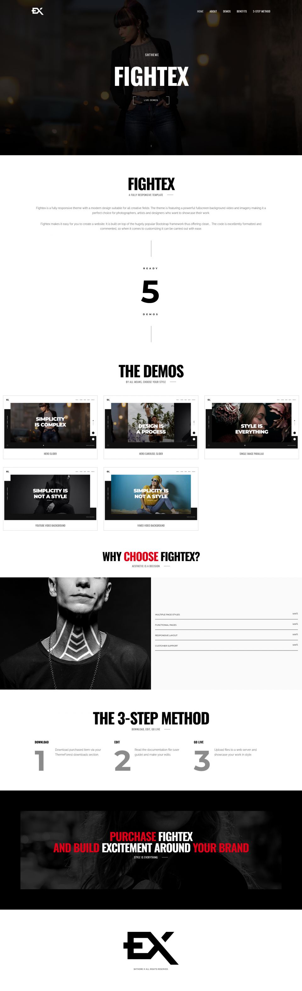 WordPress template ThemeForest Fightex