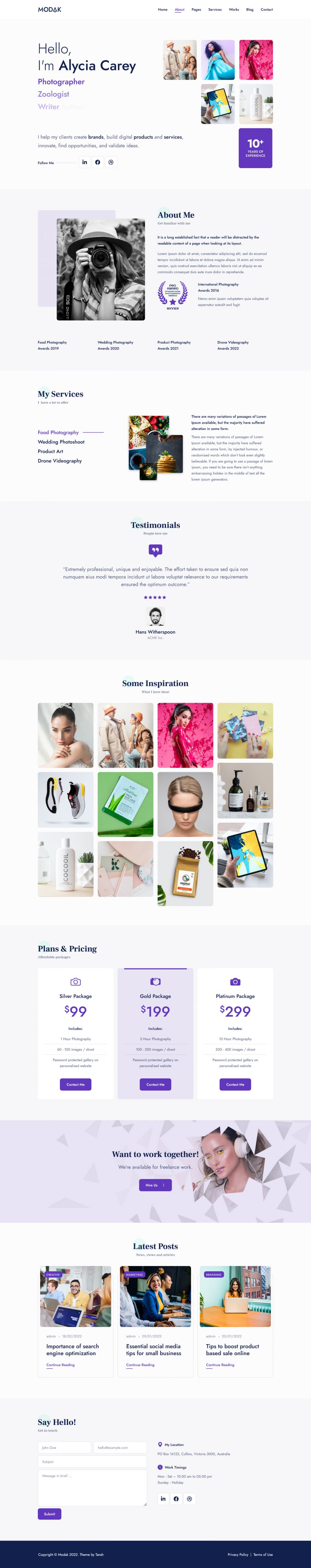 WordPress template ThemeForest Modak