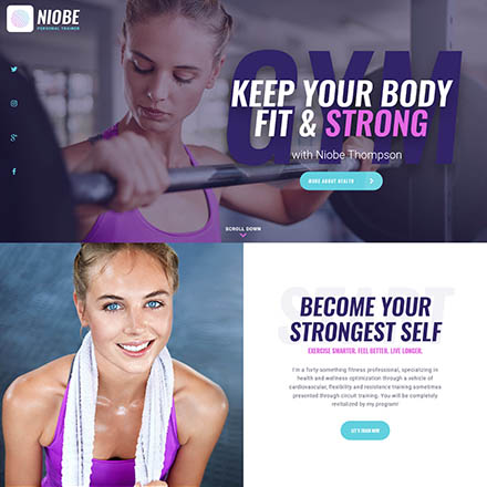 ThemeForest Niobe