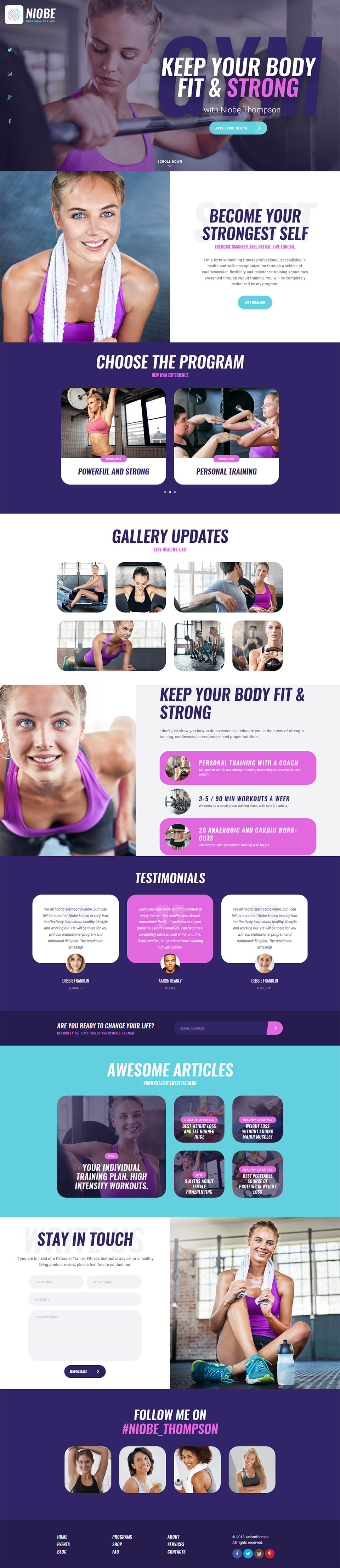WordPress template ThemeForest Niobe