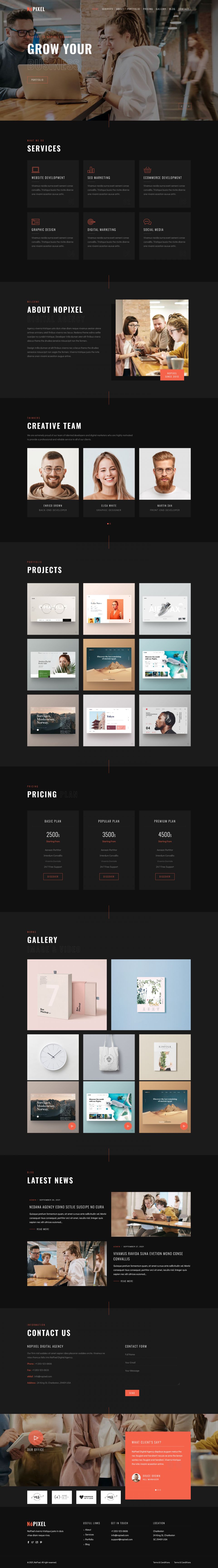 WordPress template ThemeForest NoPixel