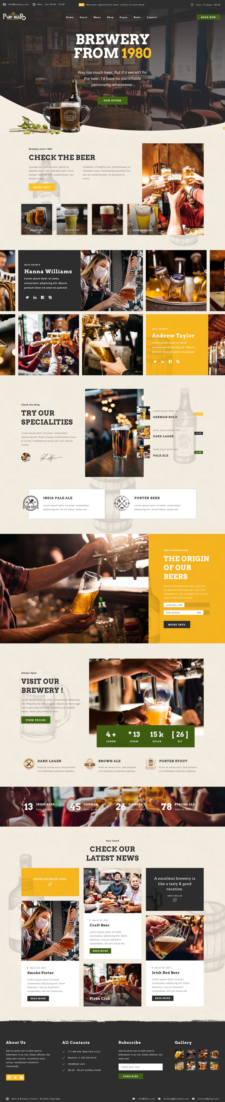 WordPress template ThemeForest Puby