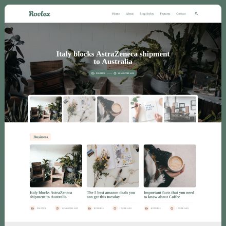 ThemeForest Rovlex