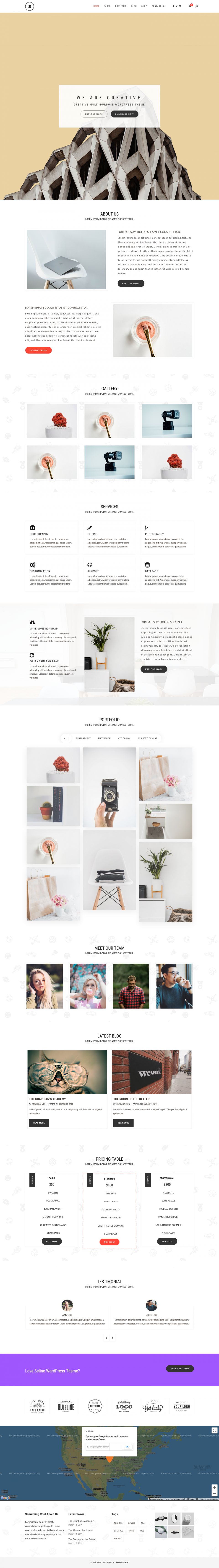 Template ThemeForest Seline WordPress template ThemeForest Seline