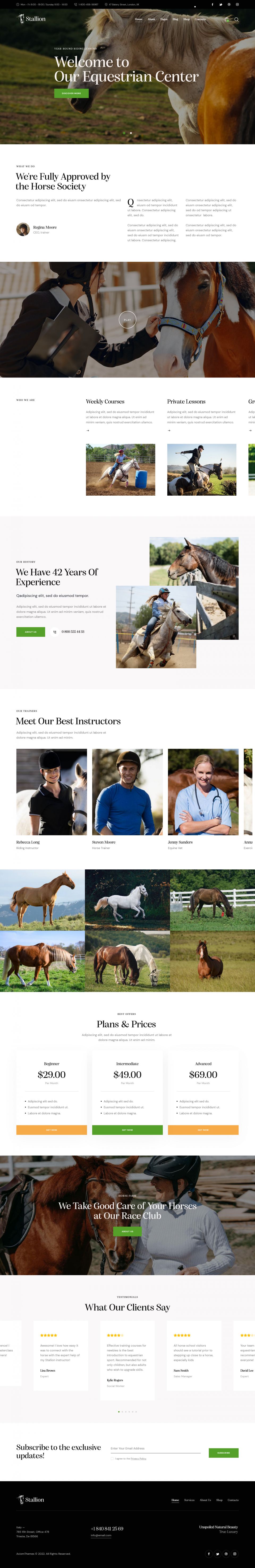 WordPress template ThemeForest Stallion