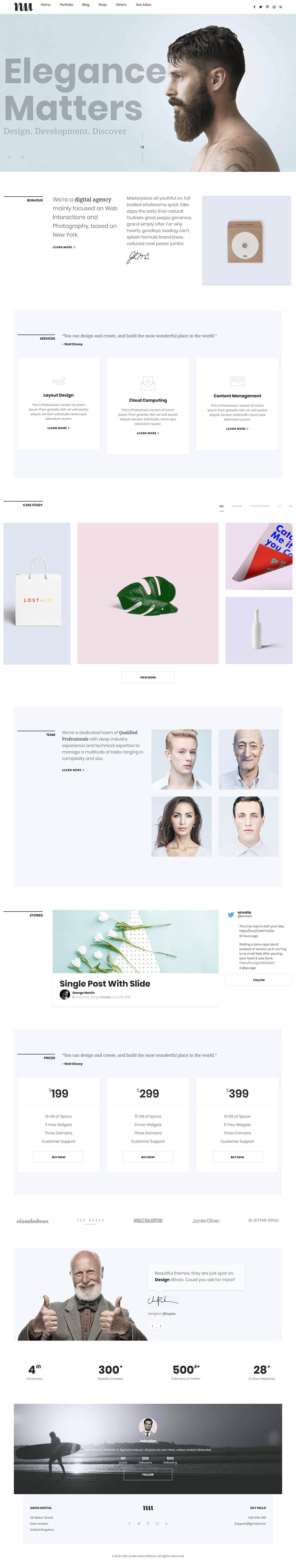 Template ThemeForest Adios WordPress template ThemeForest Adios