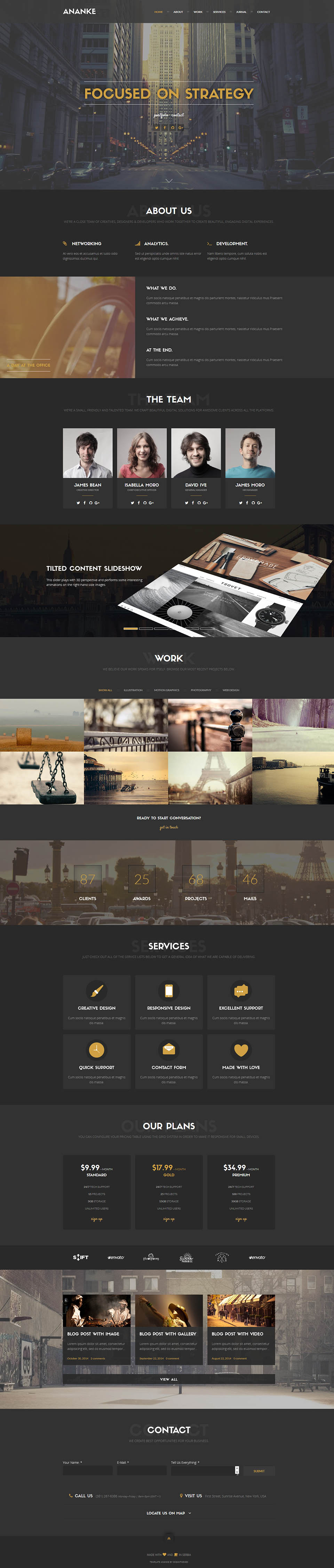 WordPress template ThemeForest Ananke