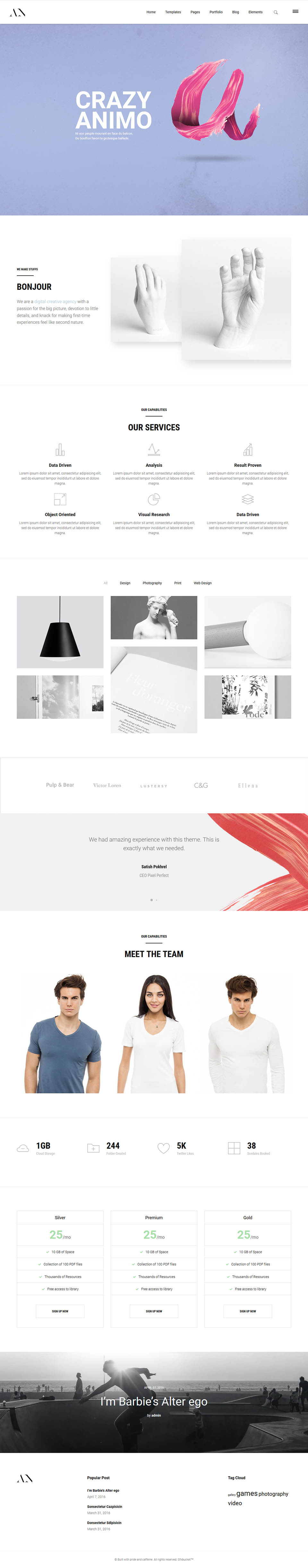 Template ThemeForest Animo WordPress template ThemeForest Animo