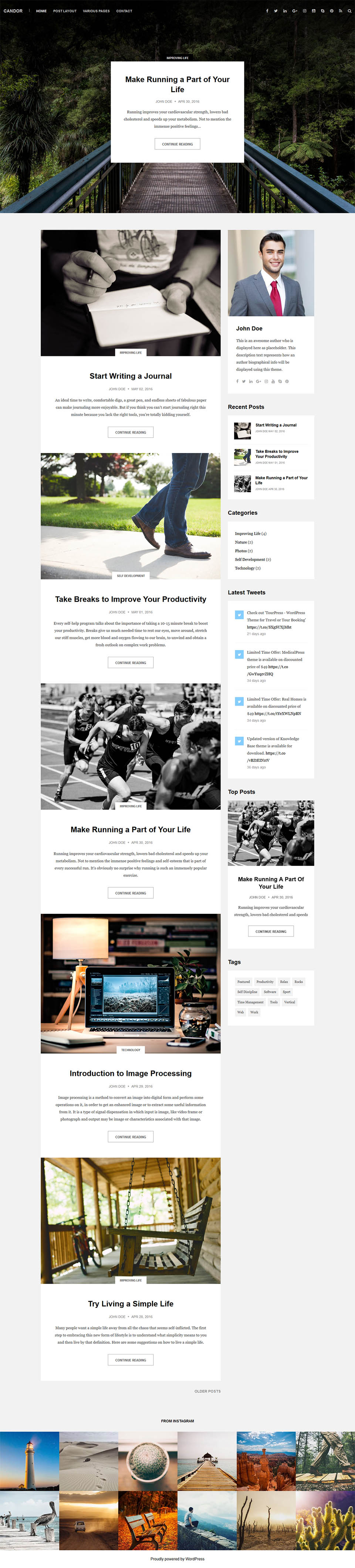 Template ThemeForest Candor WordPress template ThemeForest Candor