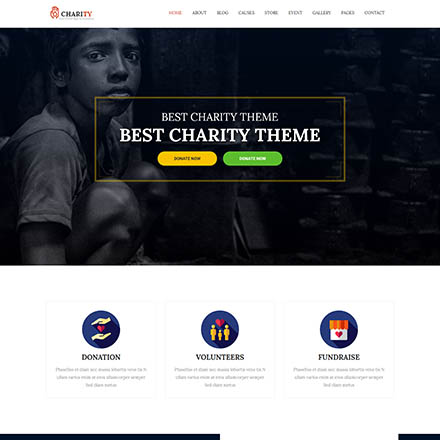 ThemeForest Charity