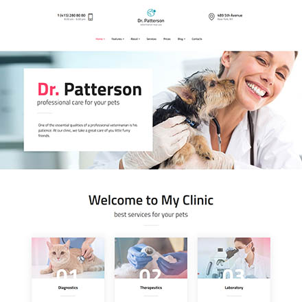 ThemeForest Dr.Patterson