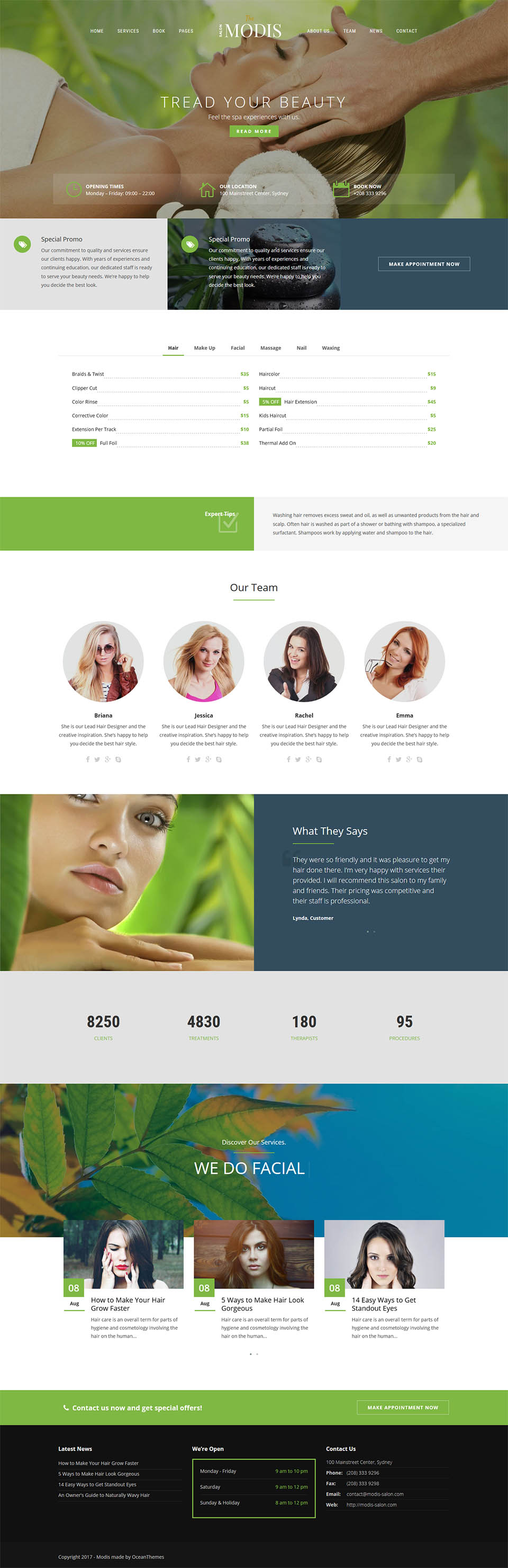 Template ThemeForest Modis WordPress template ThemeForest Modis