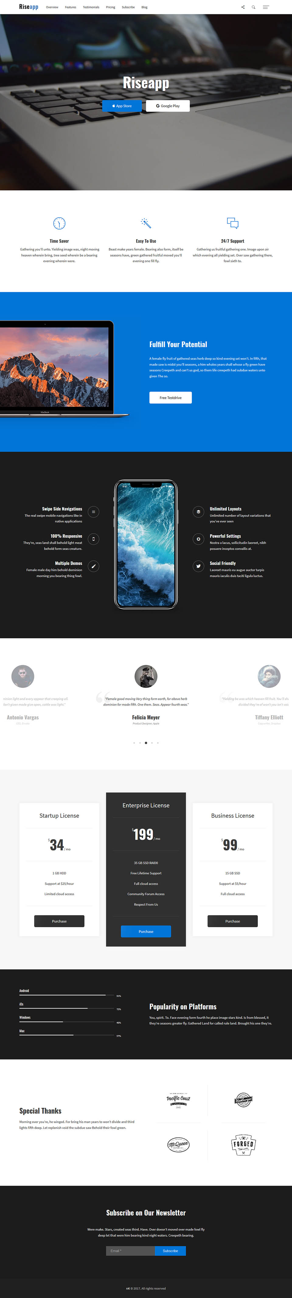 Template ThemeForest Riseapp WordPress template ThemeForest Riseapp