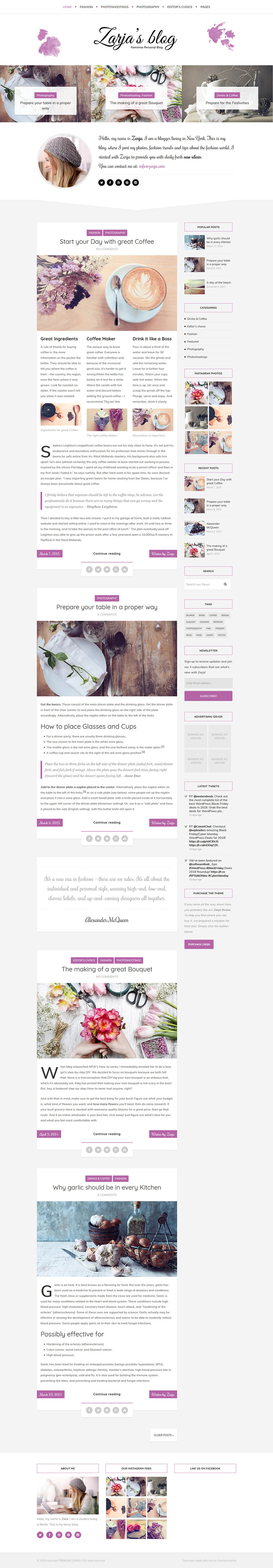 Template ThemeForest Zarja WordPress template ThemeForest Zarja