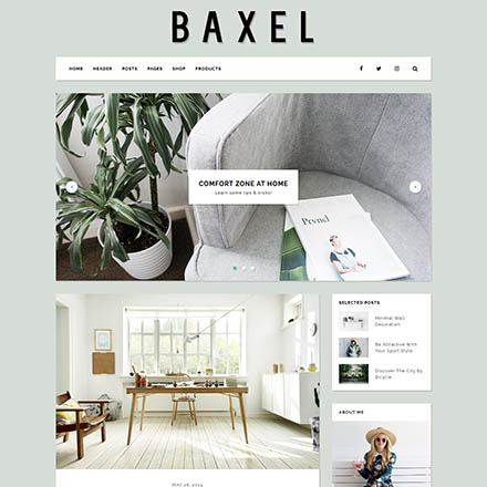 ThemeForest Baxel