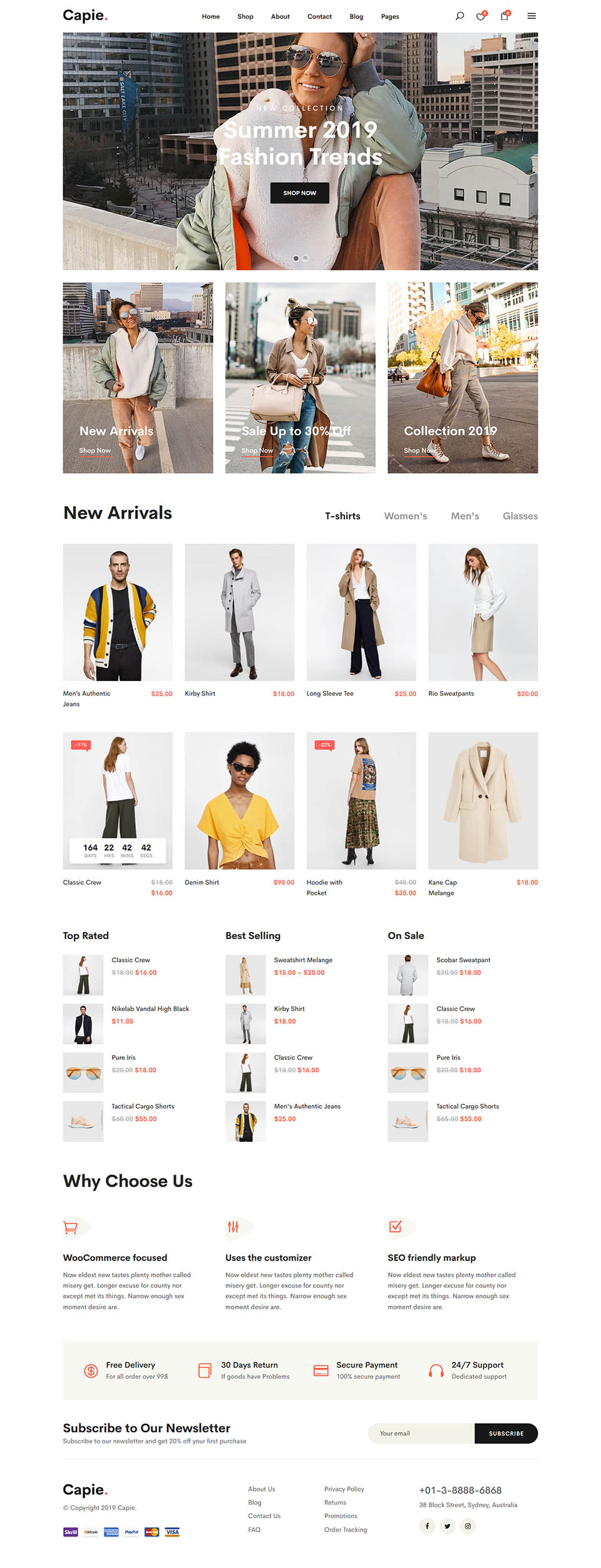 WordPress template ThemeForest Capie