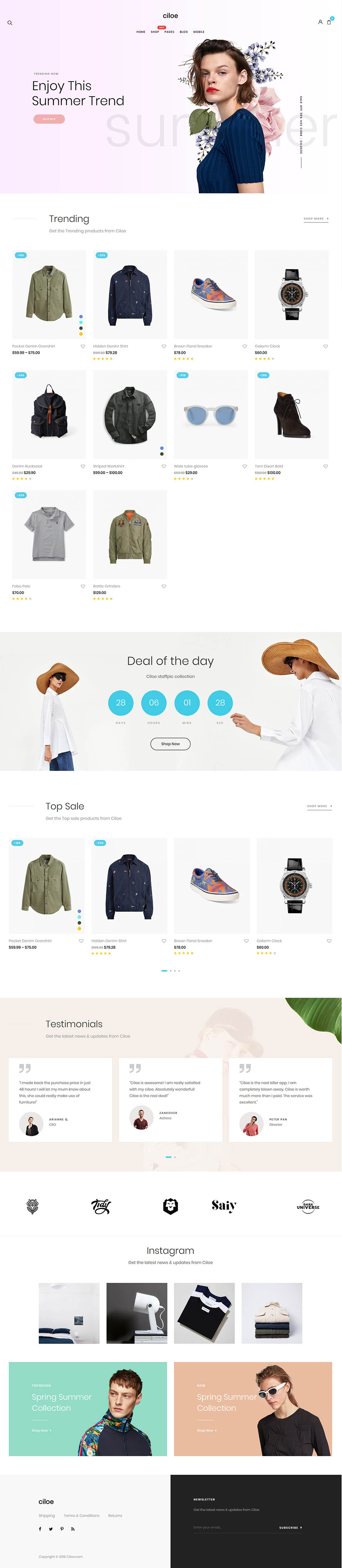 WordPress template ThemeForest Ciloe