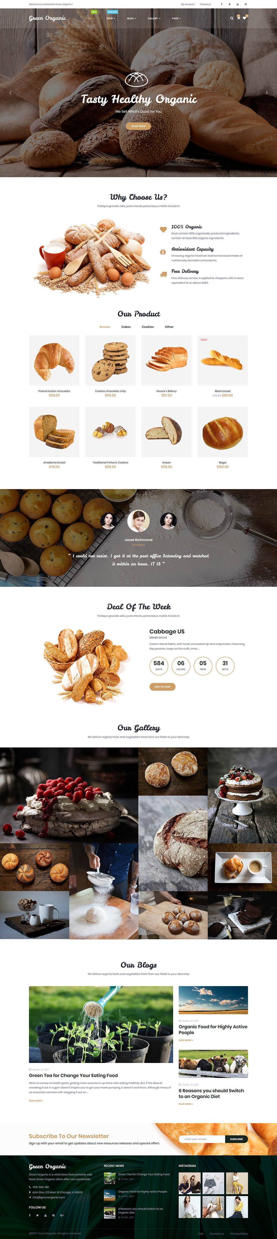 WordPress template ThemeForest GreenOrganic