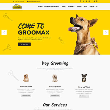 ThemeForest Groomax