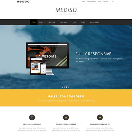 ThemeForest Mediso