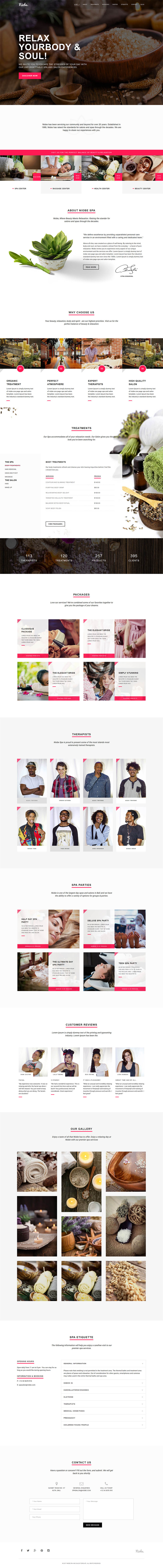 WordPress template ThemeForest Niobe