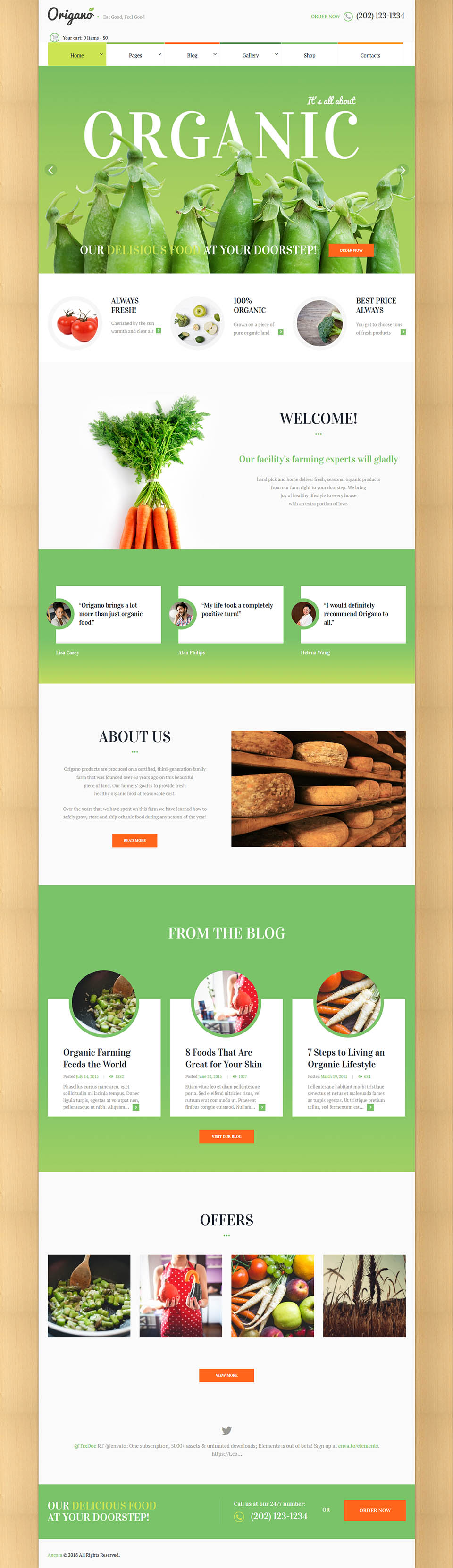 Template ThemeForest Origano WordPress template ThemeForest Origano