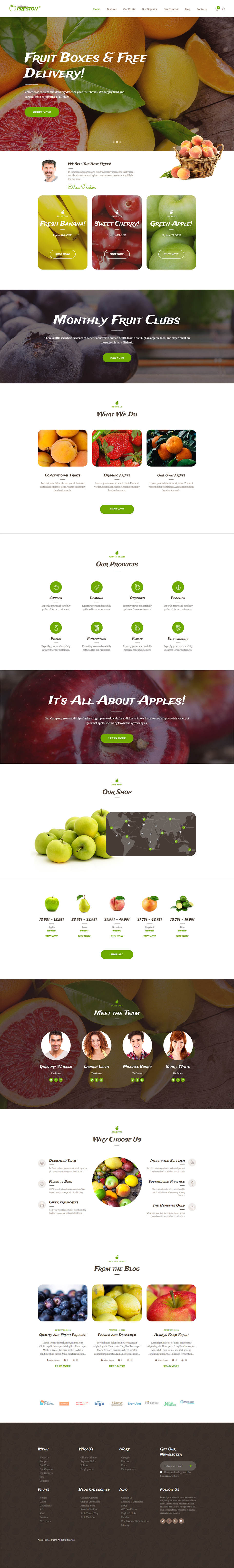 Template ThemeForest Preston WordPress template ThemeForest Preston