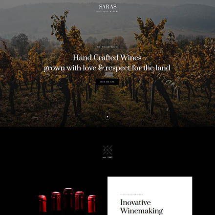 ThemeForest Saras
