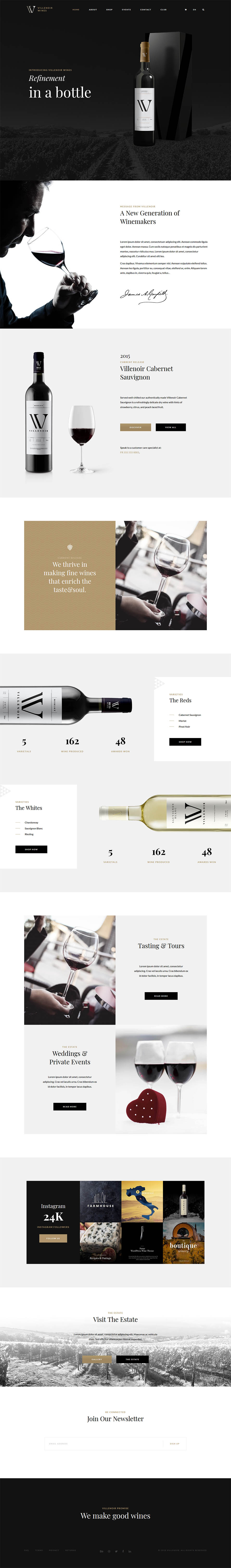 WordPress template ThemeForest Villenoir