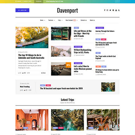 ThemeForest Davenport