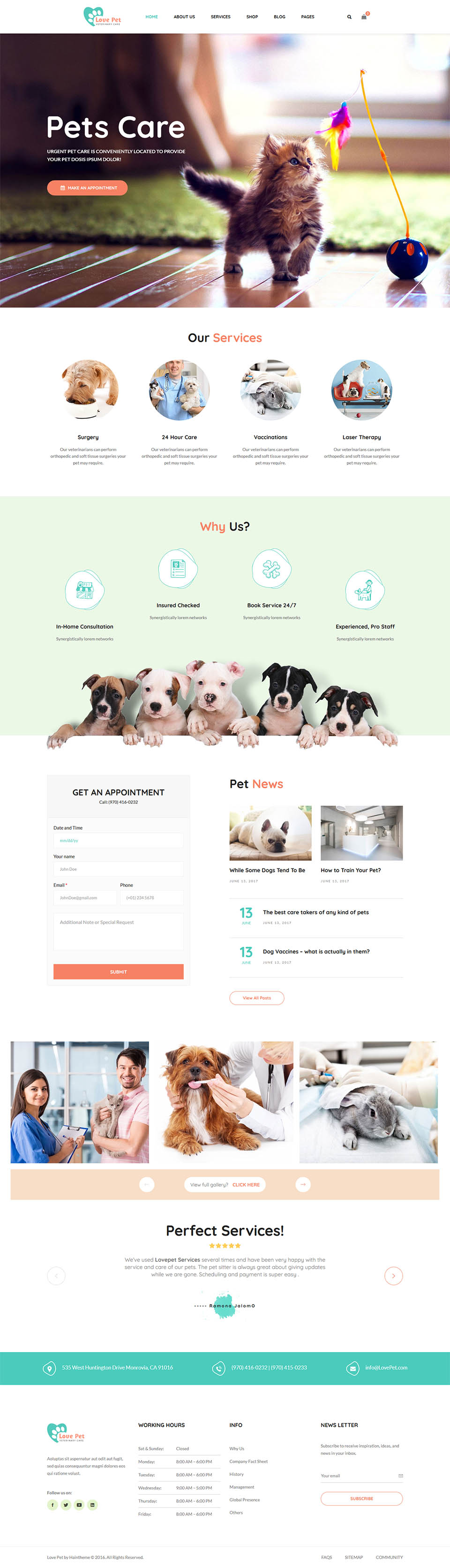 Template ThemeForest LovePet WordPress template ThemeForest LovePet