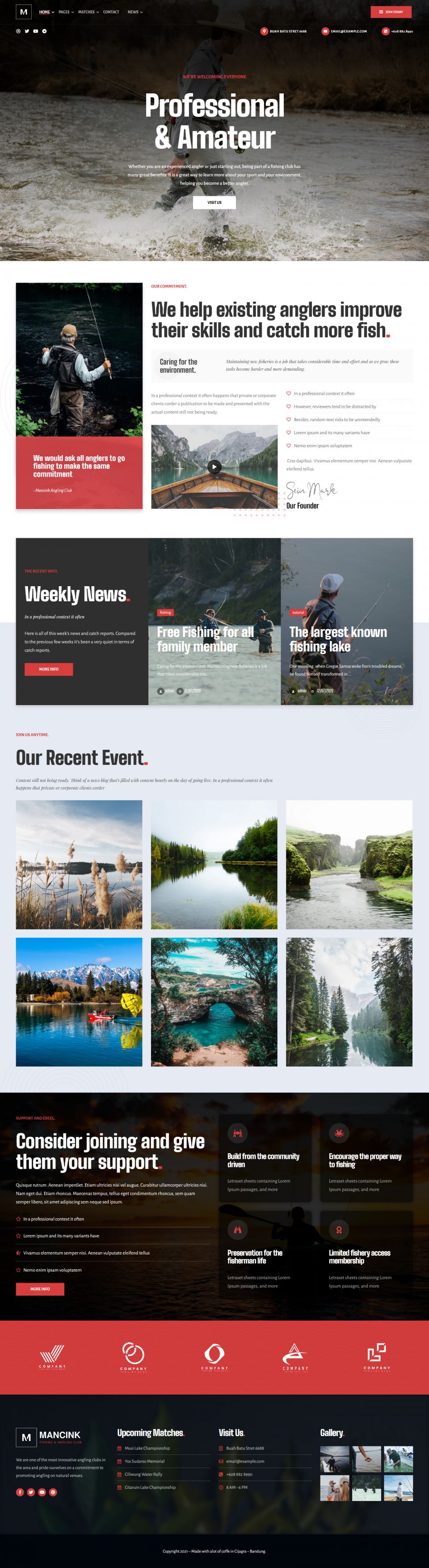 WordPress template ThemeForest Mancink
