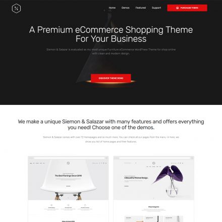 ThemeForest Siemon & Salazar